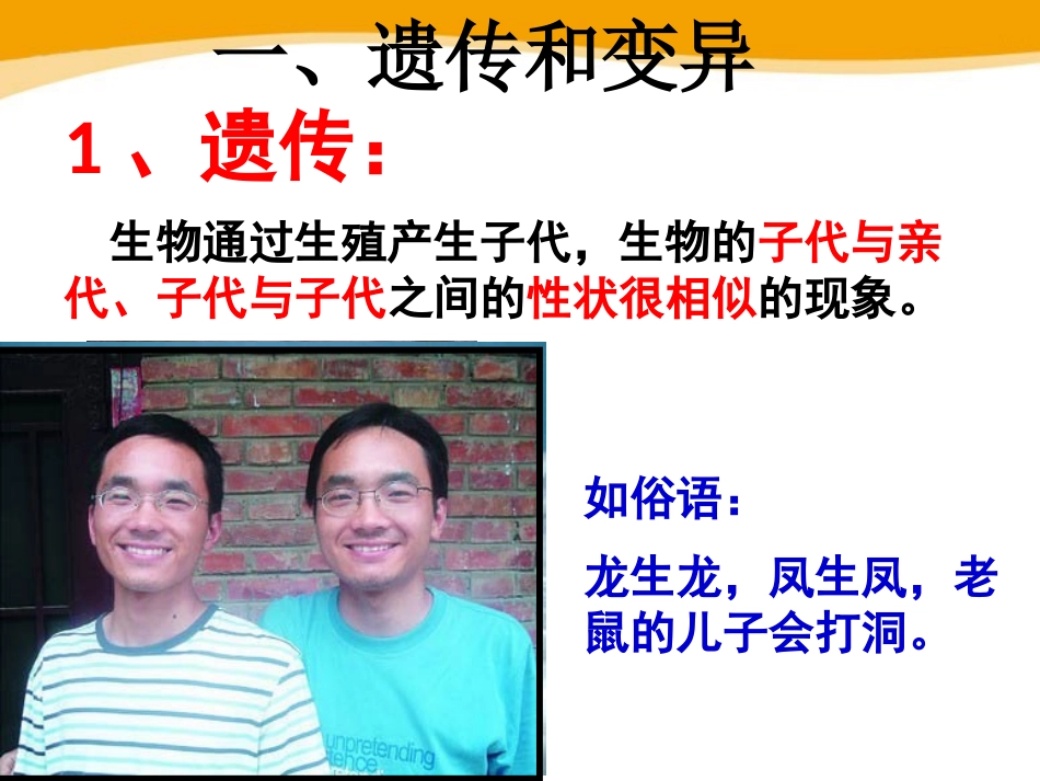 《遗传与进化》PPT课件[浙教版九年级科学下册]_第3页