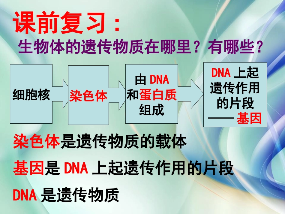 《遗传与进化》PPT课件[浙教版九年级科学下册]_第2页