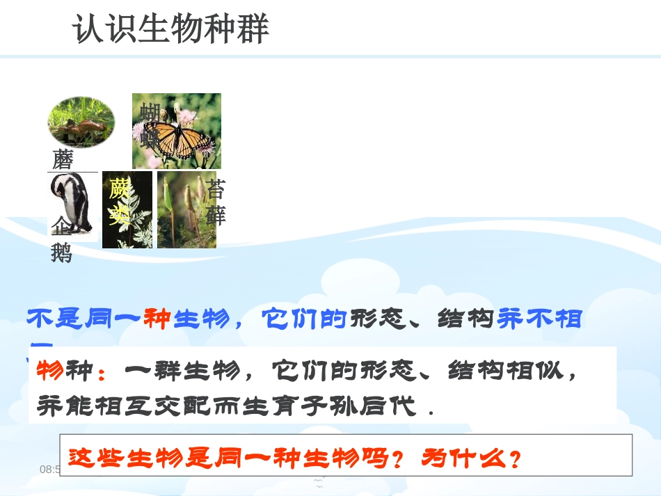 《种群》PPT课件[浙教版九年级科学下册]_第2页