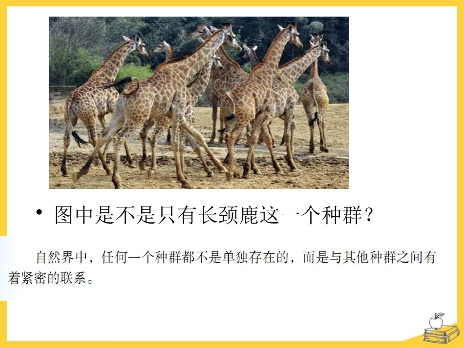 《生物群落》PPT课件[浙教版九年级科学下册]_第2页