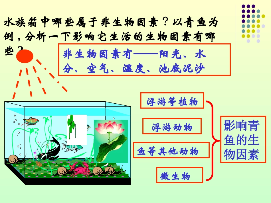 《生态系统的结构和功能》PPT教学课件[浙教版九年级科学]_第3页