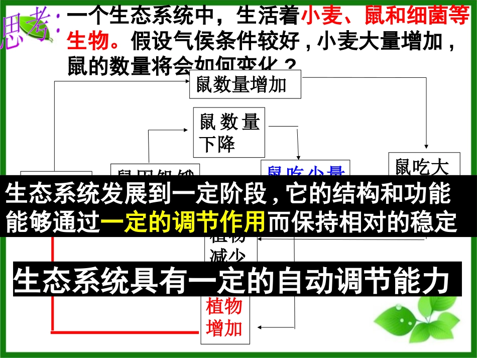 《生态系统的稳定性》PPT课件[浙教版九年级科学下册]_第2页