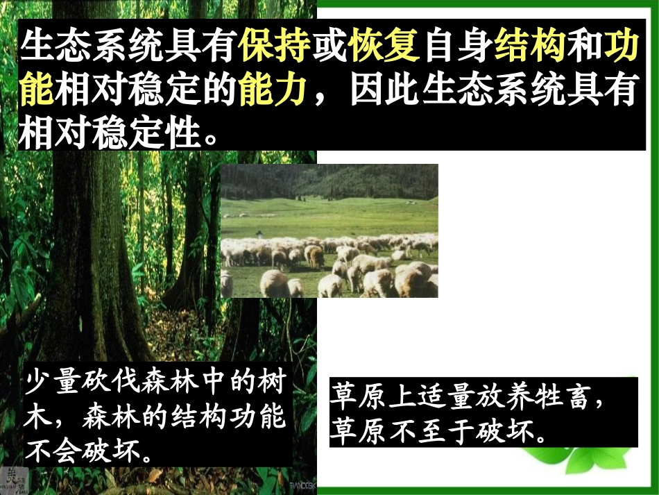 《生态系统的稳定性》PPT课件[浙教版九年级科学下册]_第3页