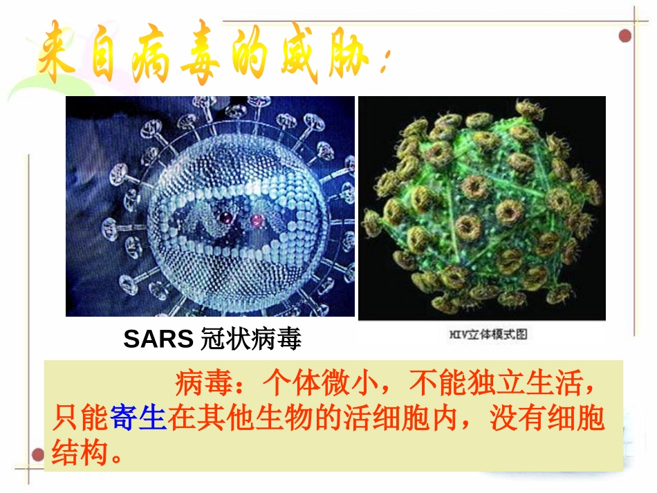 《来自微生物的威胁》PPT课件[浙教版九年级科学下册]_第3页