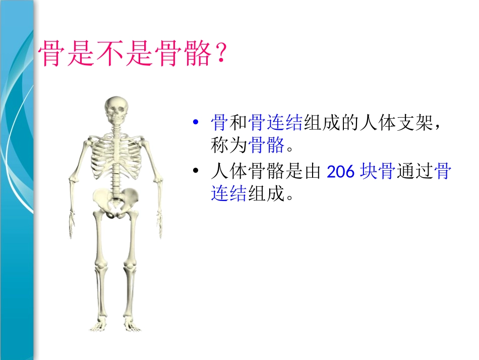 《人的运动系统和保健》PPT课件[浙教版九年级科学下册]_第3页