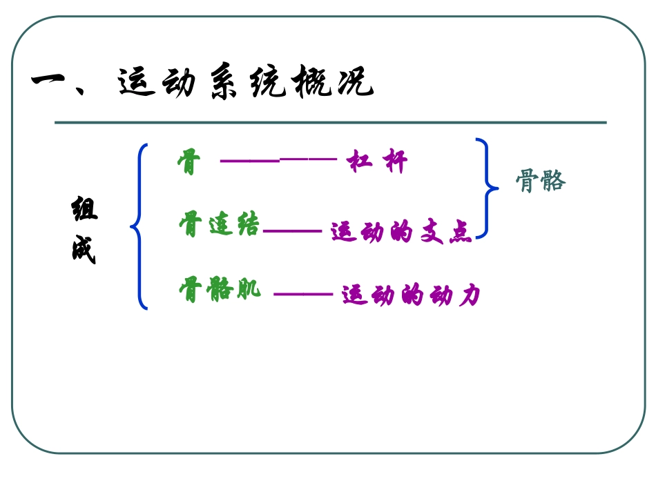 《人的运动系统和保健》PPT课件[浙教版九年级科学下册]_第3页