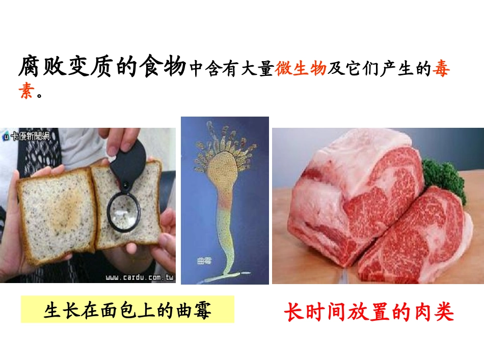 《健康生活》PPT课件[浙教版九年级科学下册]_第2页