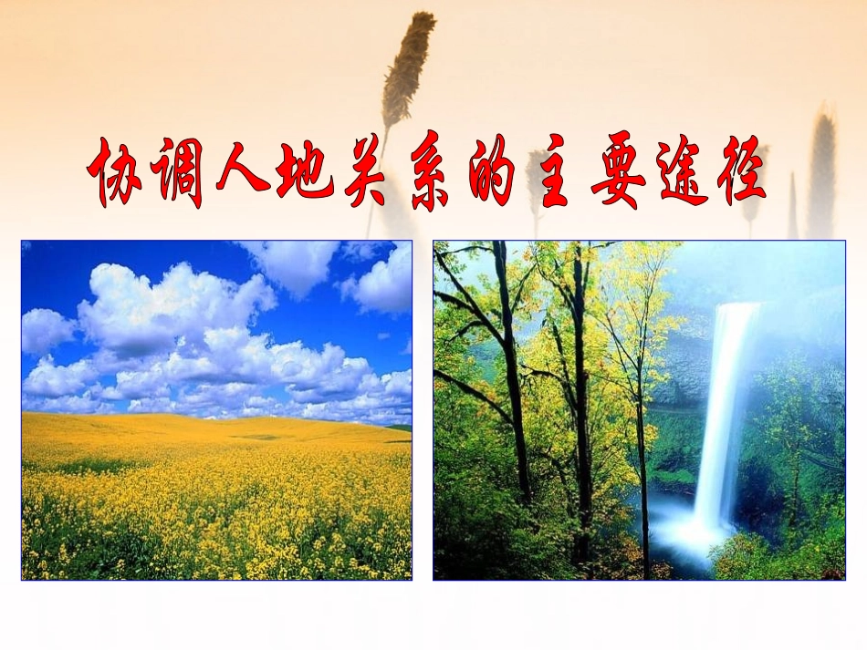 《实现可持续发展》PPT课件[浙教版九年级科学下册]_第2页
