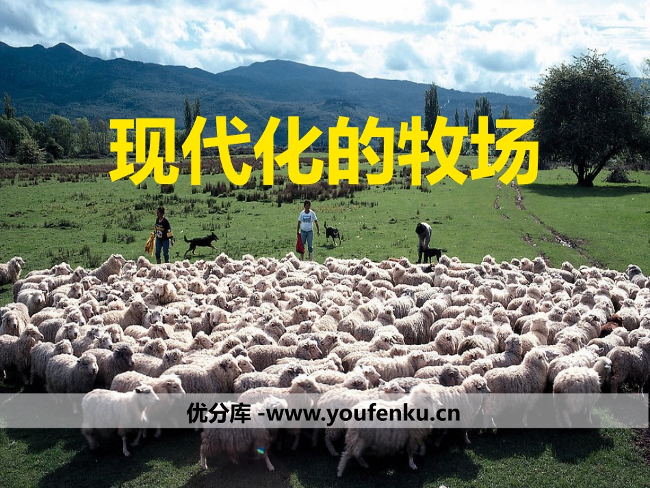 《现代化的牧场》各具特色的区域生活PPT课件_第1页