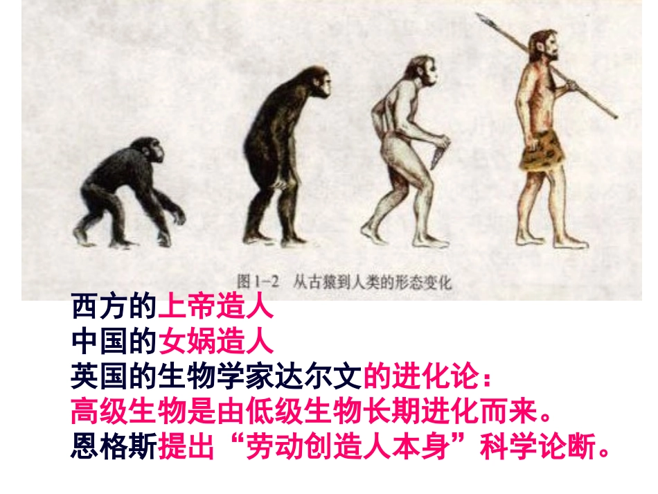 《追寻原始先民的足迹》文明探源PPT课件[人教版历史与社会七年级]_第2页