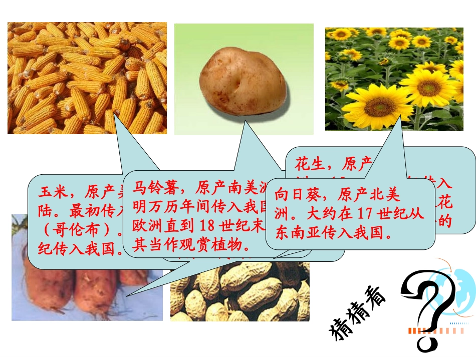 《农耕文明的繁盛》大一统国家的兴盛与农耕经济的繁荣PPT课件_第3页