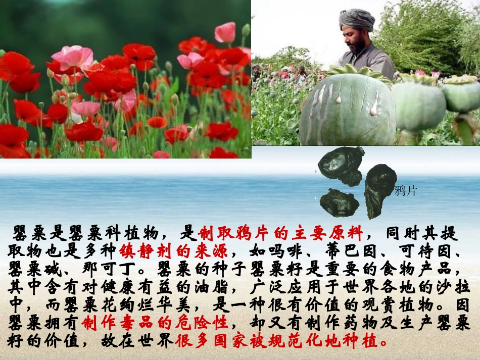 《鸦片战争的烽烟》19世纪中后期工业文明大潮中的近代中国PPT课件_第1页