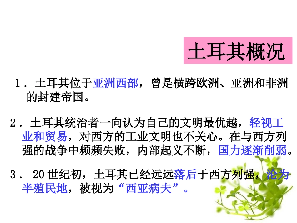 《土耳其凯末尔XXX》开辟新的发展道路PPT课件_第2页