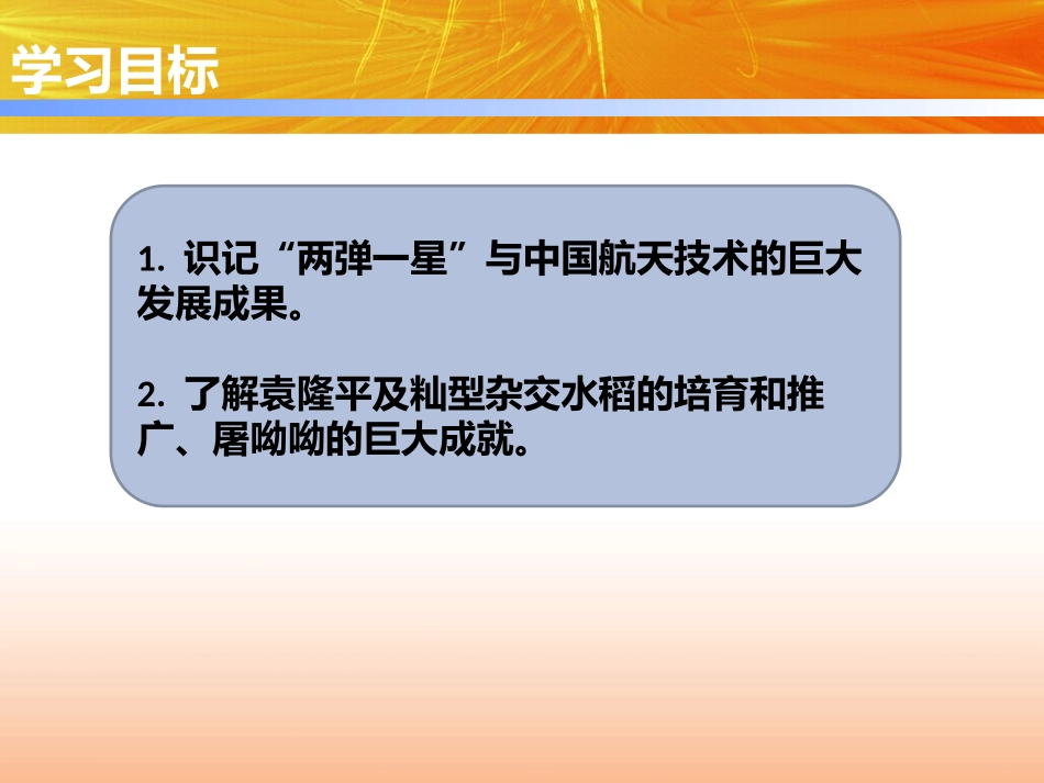 《科学技术的成就》PPT课件[部编版八年级历史下册]_第2页
