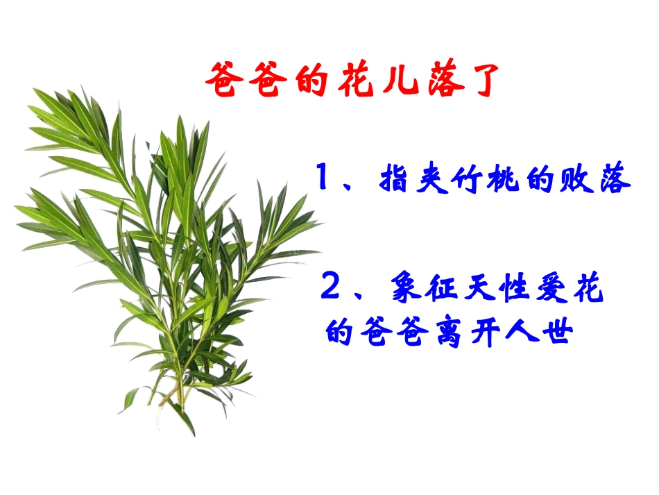 《爸爸的花儿落了》PPT课件[部编版七年级语文下册]_第1页