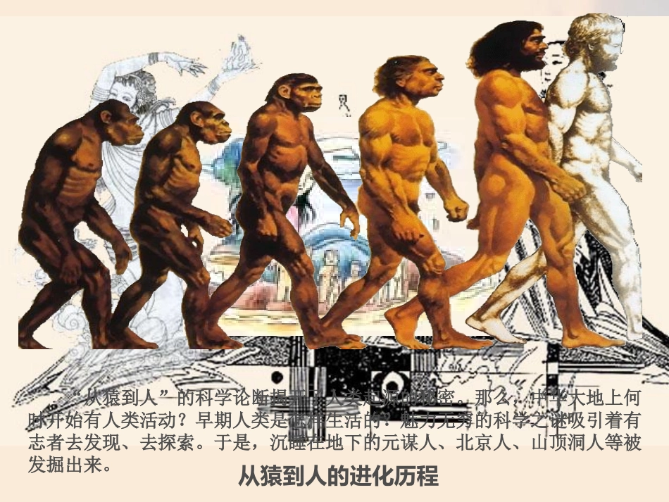 《中国早期人类的代表-北京人》PPT课件[部编版七年级历史]_第3页