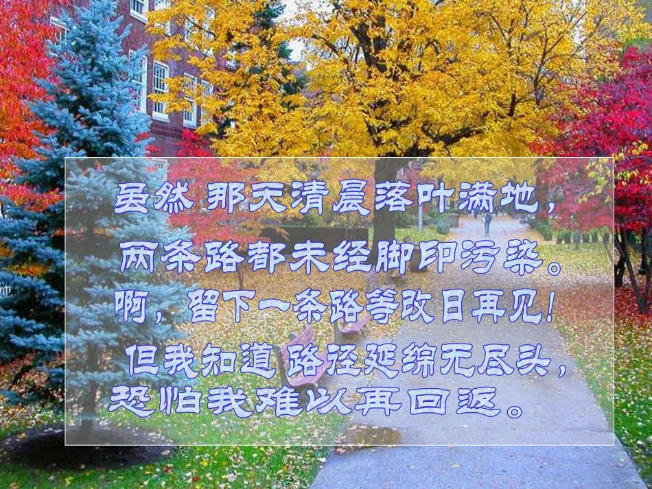 《假如生活欺骗了你》《未选择的路》PPT课件[部编版七年级语文]_第3页