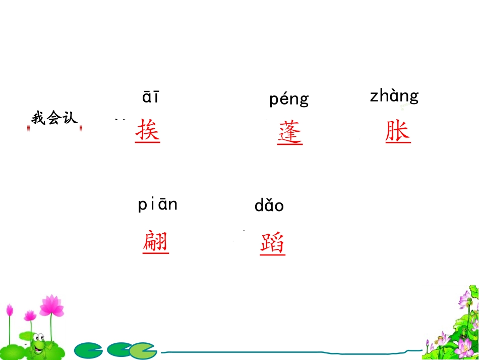 《荷花》PPT课件[部编版三年级语文下册]_第3页