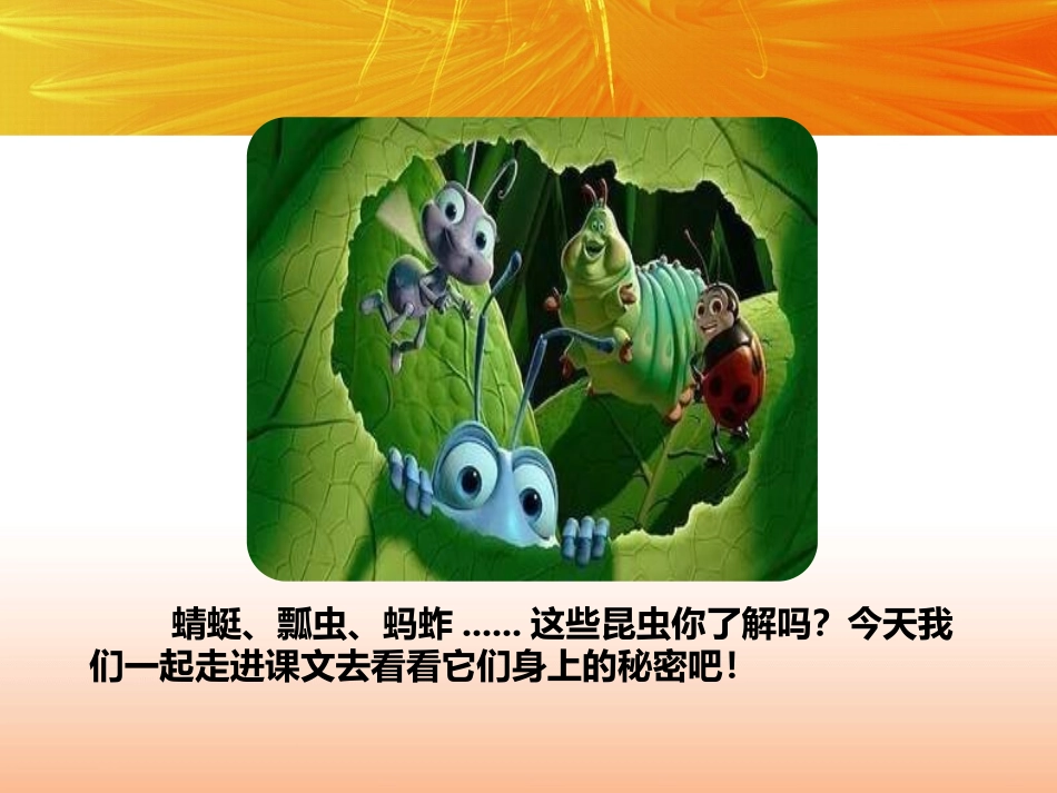 《昆虫备忘录》PPT课件[部编版三年级语文下册]_第3页