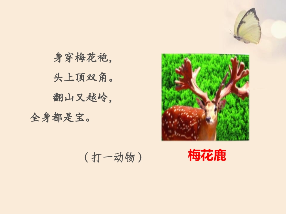 《狮子和鹿》PPT(第一课时)PPT课件[部编版三年级语文]_第2页