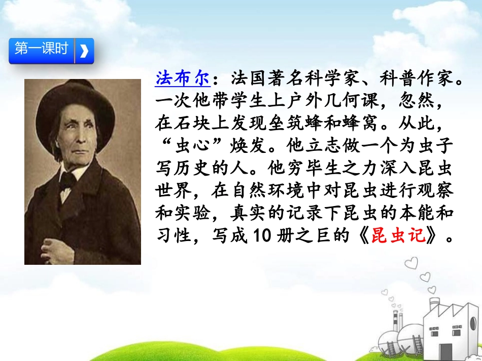 《蜜蜂》PPT课件[部编版三年级语文下册]_第2页
