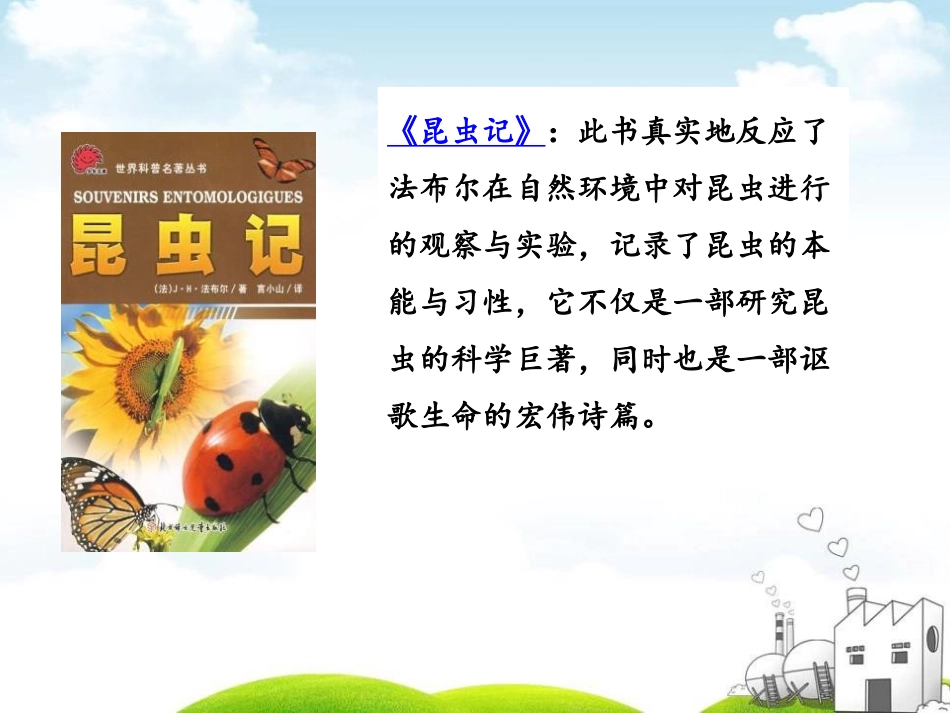 《蜜蜂》PPT课件[部编版三年级语文下册]_第3页