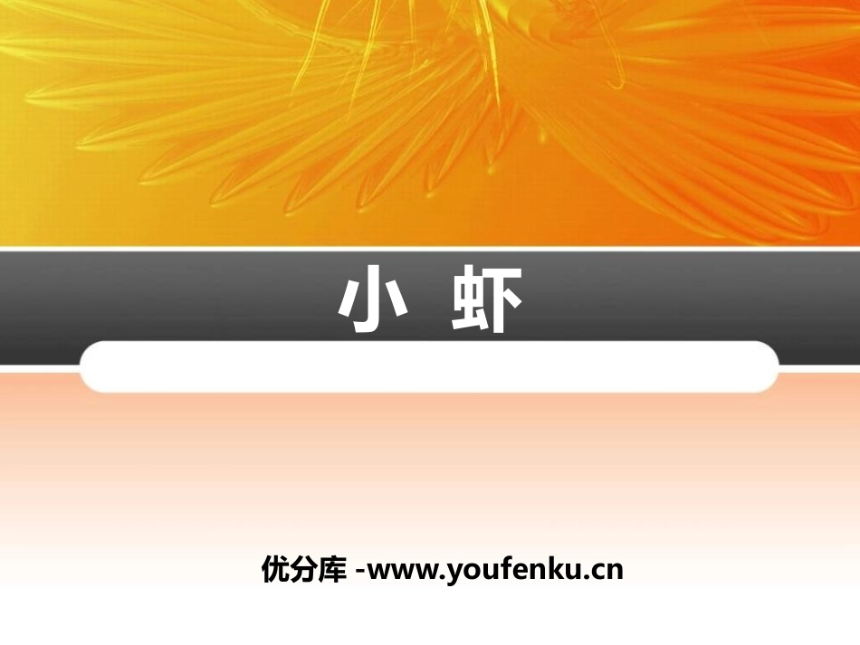 《小虾》PPT课件[部编版三年级语文下册]_第1页