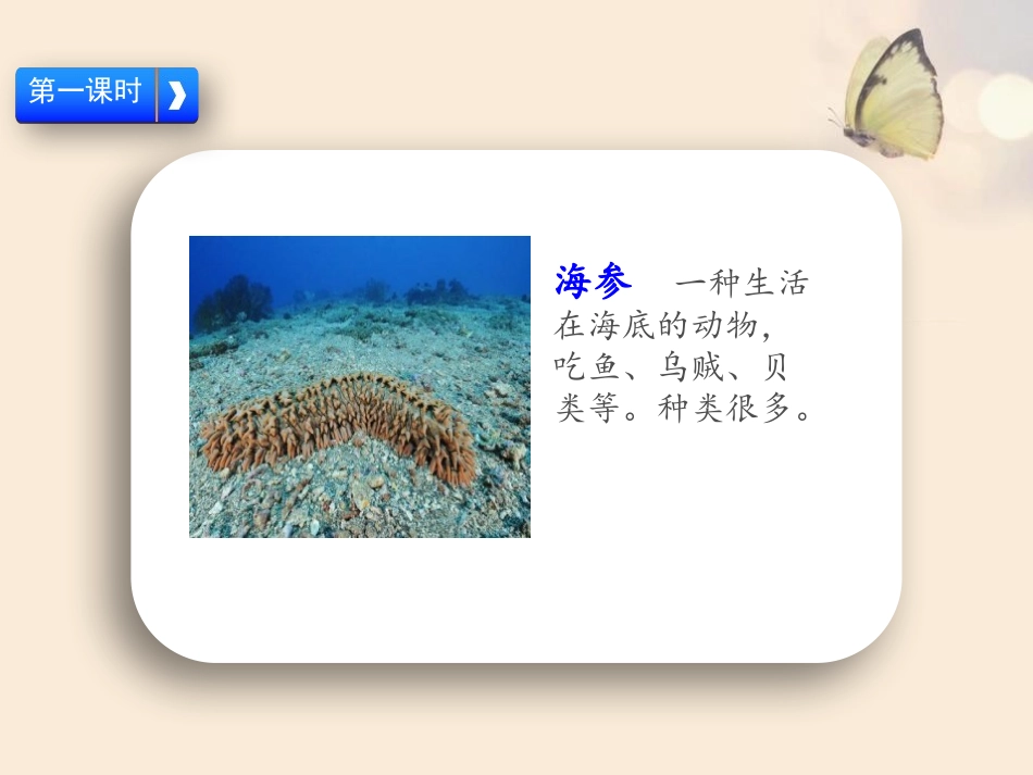 《海底世界》PPT课件[部编版三年级语文下册]_第2页