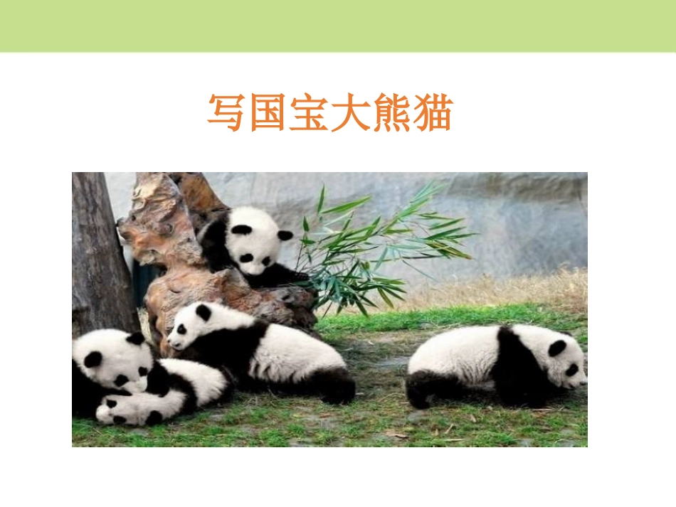 《围绕提纲写作文》PPT课件[部编版三年级语文下册]_第2页