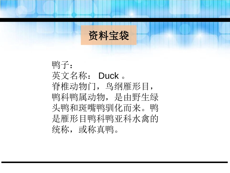 《迷路的小鸭子》PPT课件[鄂教版一年级语文下册]_第2页