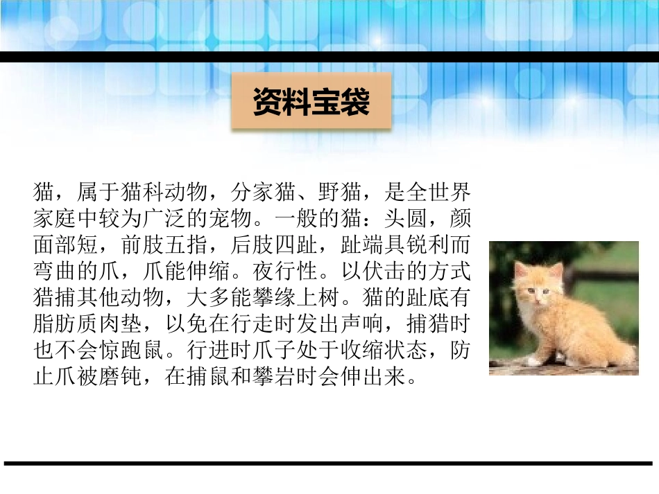 《面包房里的猫(一)》PPT课件[鄂教版二年级语文下册]_第2页