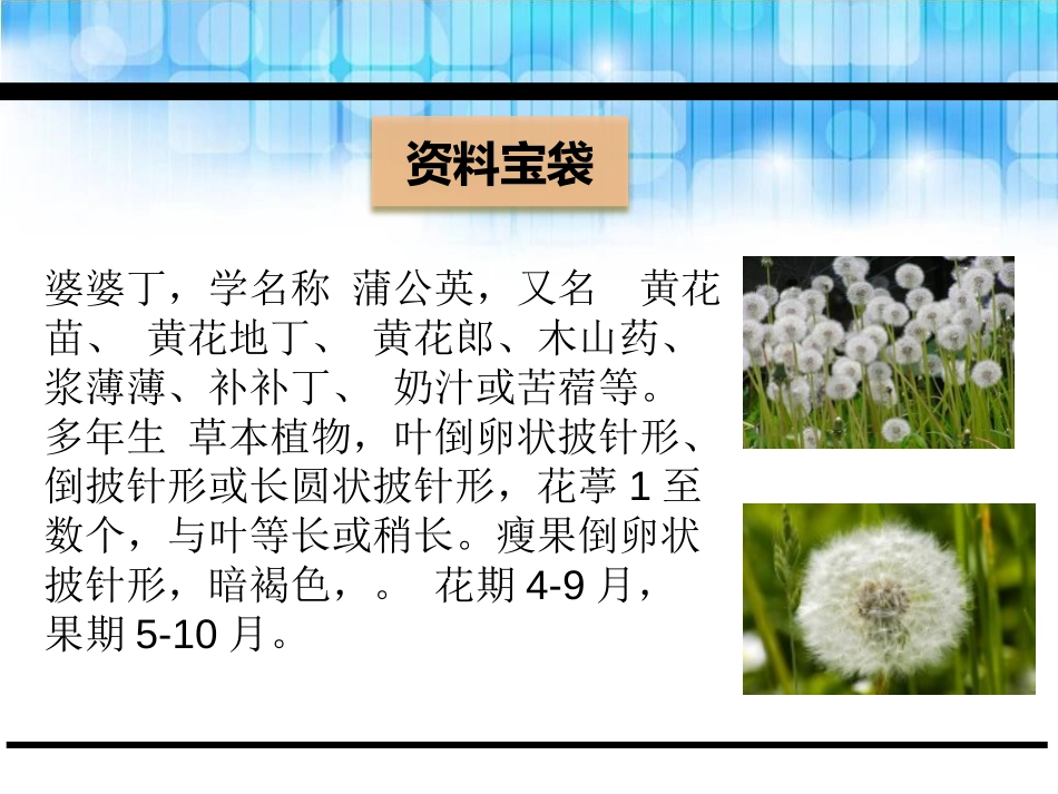 《大树的孩子》PPT课件[鄂教版二年级语文下册]_第2页