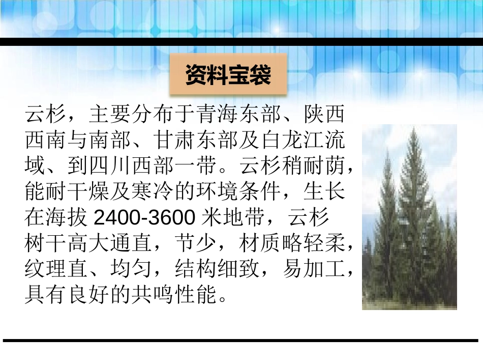 《画森林》PPT课件[鄂教版二年级语文下册]_第2页