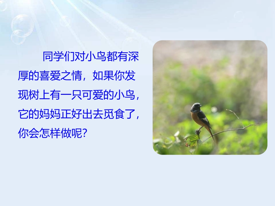 《一只小鸟》PPT课件[鄂教版三年级语文上册]_第2页
