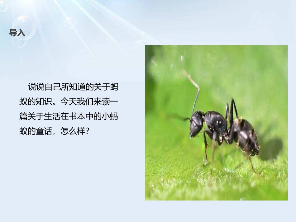 《书本里的蚂蚁》PPT课件[鄂教版三年级语文上册]_第2页