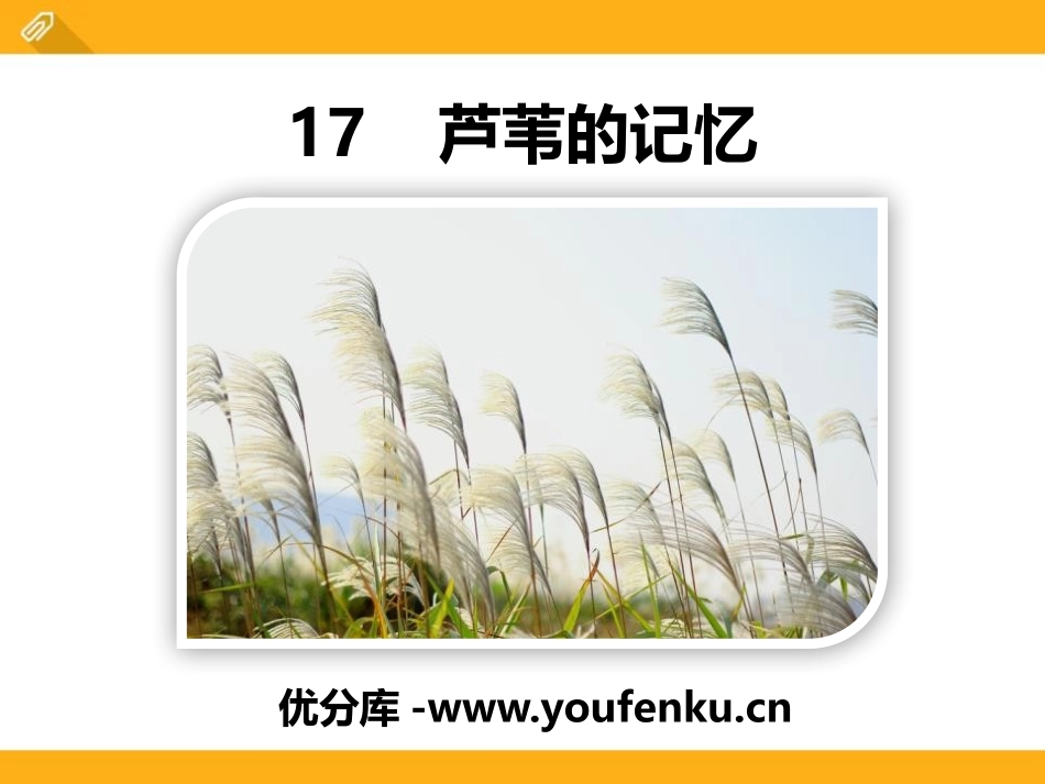 《芦苇的记忆》PPT课件[鄂教版三年级语文上册]_第1页