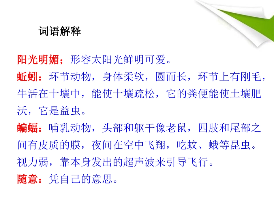 《我家的大花园》PPT课件[鄂教版三年级语文上册]_第3页