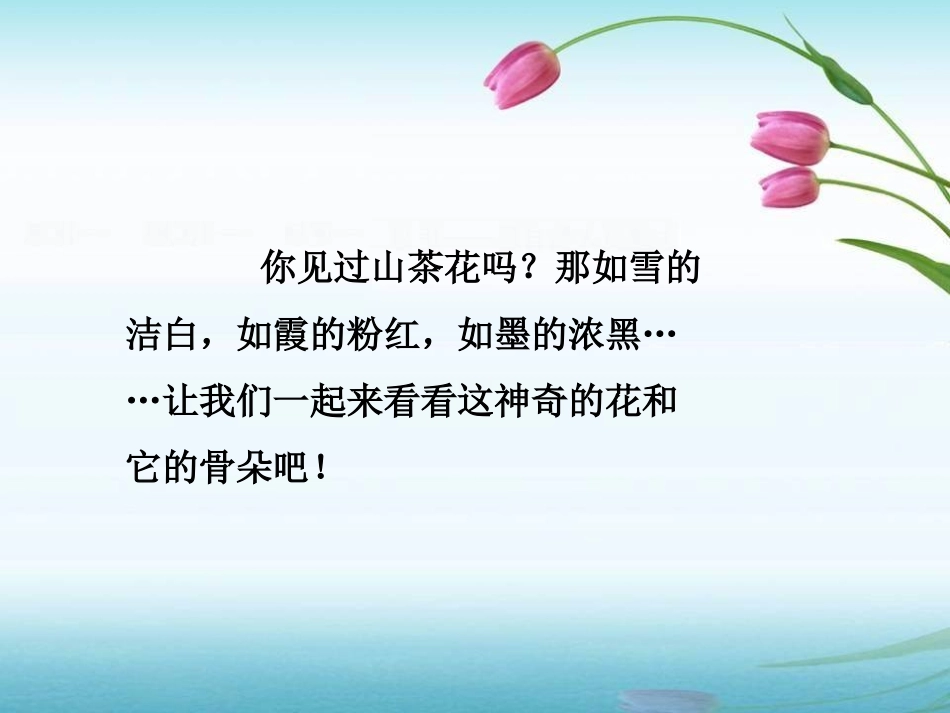 《山茶花》PPT课件[鄂教版三年级语文上册]_第2页
