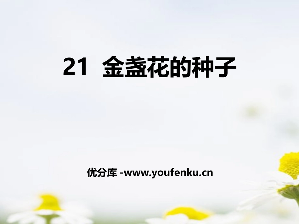 《金盏花的种子》PPT课件[鄂教版三年级语文上册]_第1页