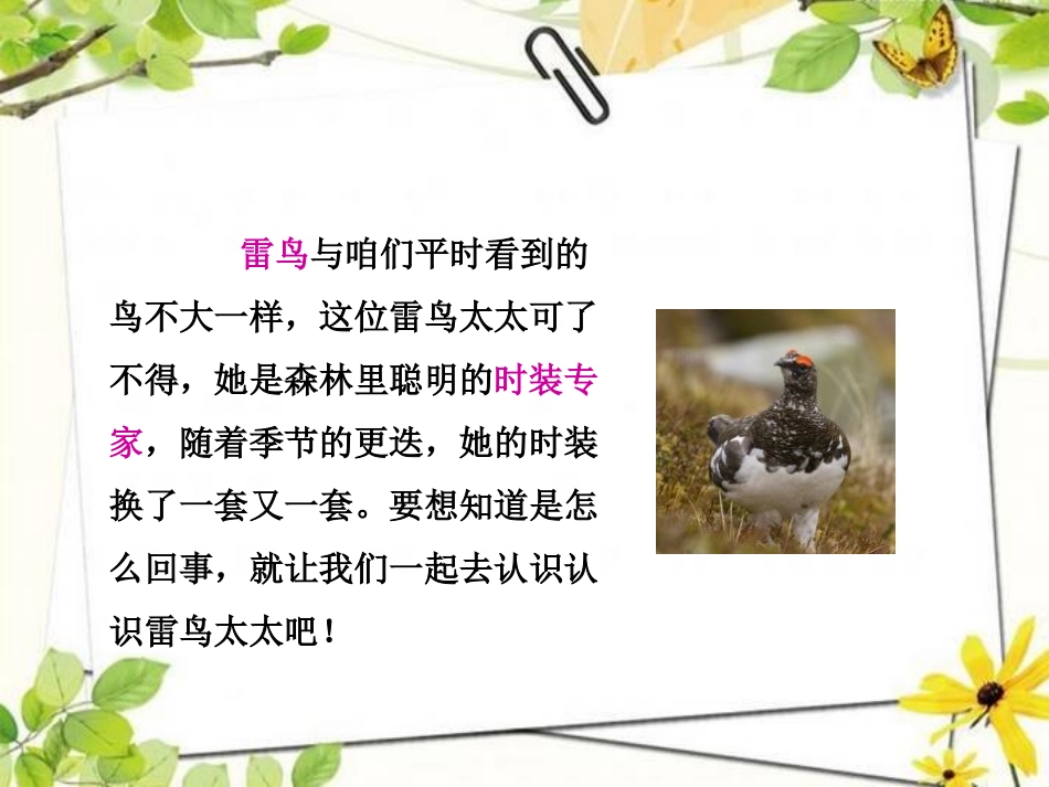 《雷鸟太太的时装(一)》PPT课件[鄂教版三年级语文上册]_第2页