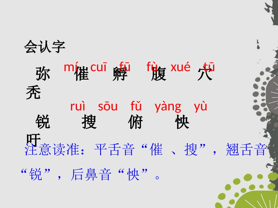 《雷鸟太太的时装(二)》PPT课件[鄂教版三年级语文上册]_第2页