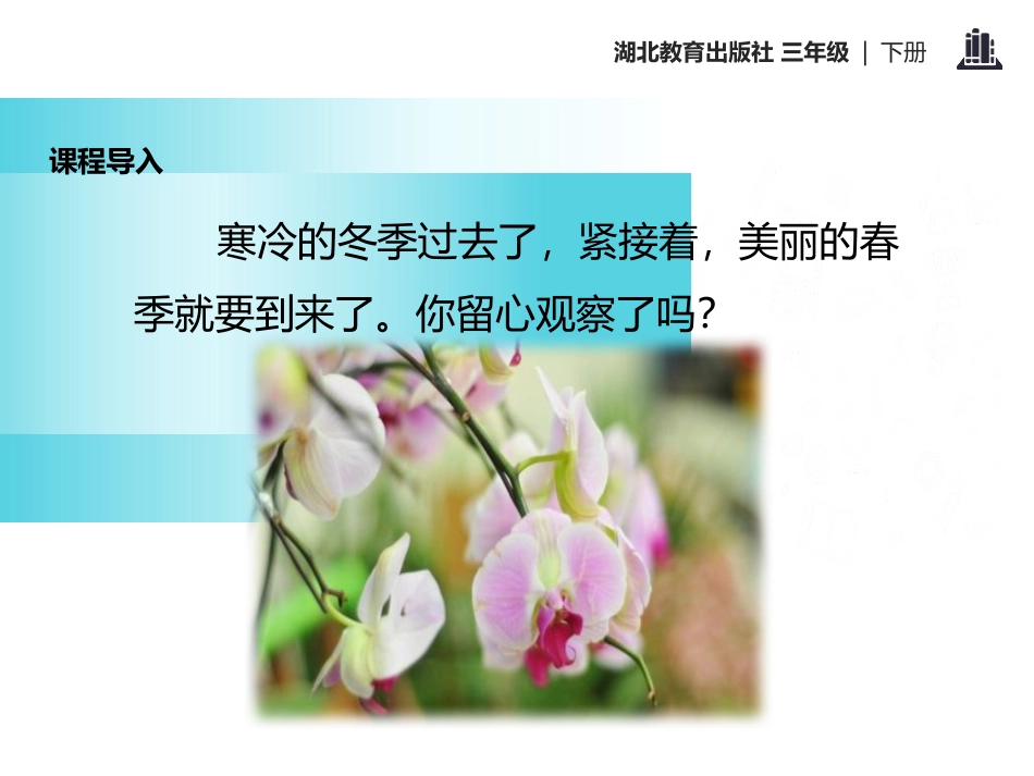 《春的颂歌》PPT课件[鄂教版三年级语文下册]_第2页