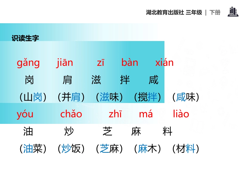 《美丽的槐乡》PPT课件[鄂教版三年级语文下册]_第3页