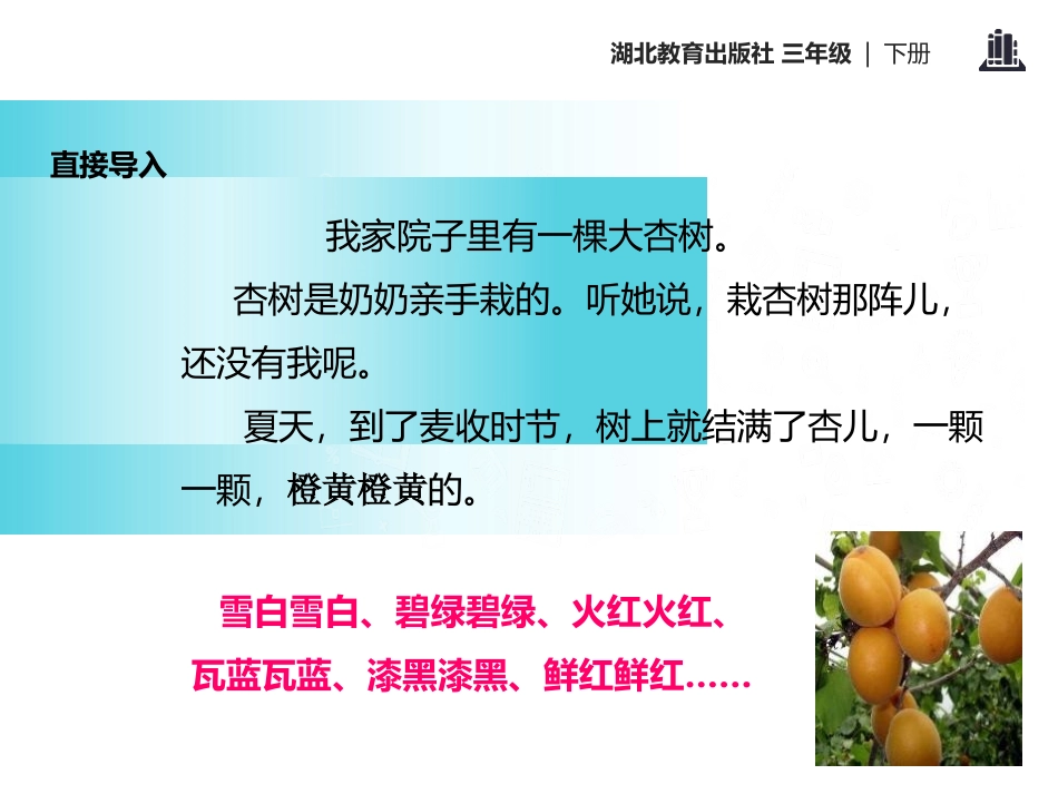 《杏儿熟了》PPT课件[鄂教版三年级语文下册]_第3页