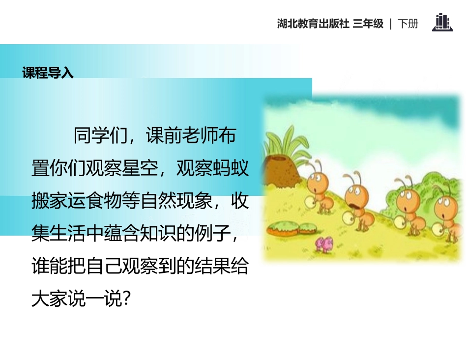《处处皆学问》PPT课件[鄂教版三年级语文下册]_第2页