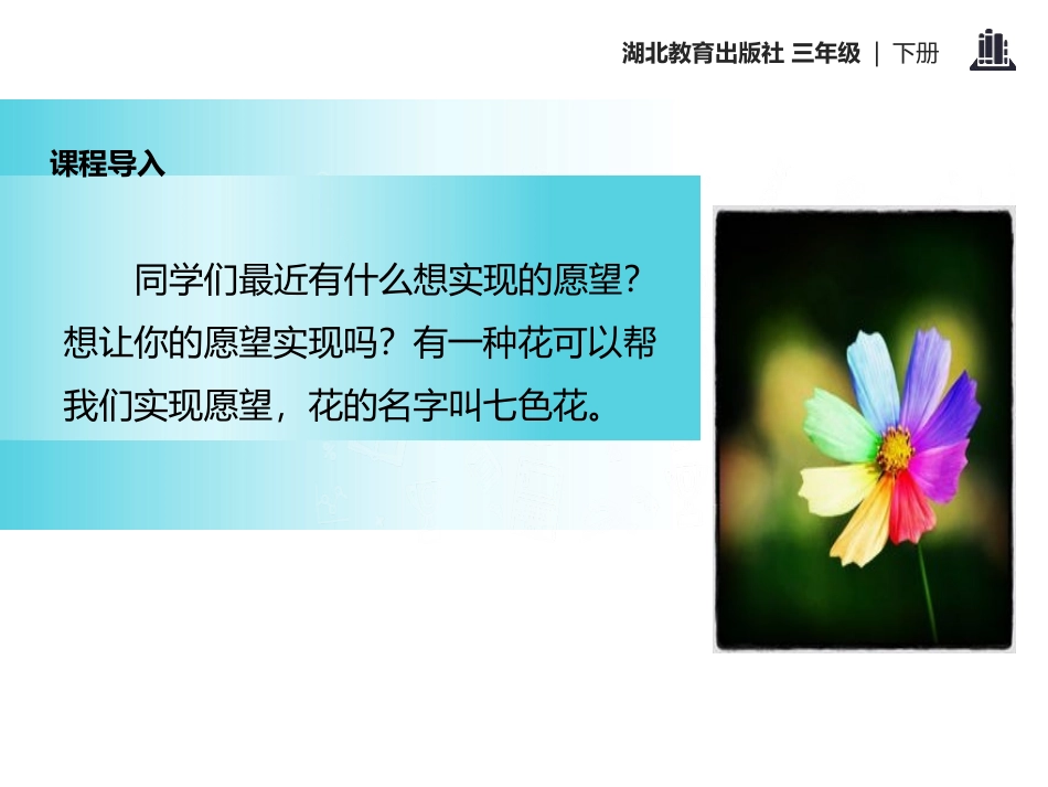 《七色花》PPT课件[鄂教版三年级语文下册]_第2页