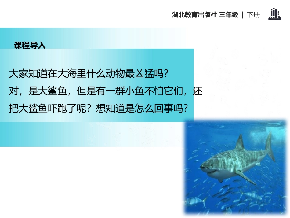 《黑眼睛的大红鱼》PPT课件[鄂教版三年级语文下册]_第2页