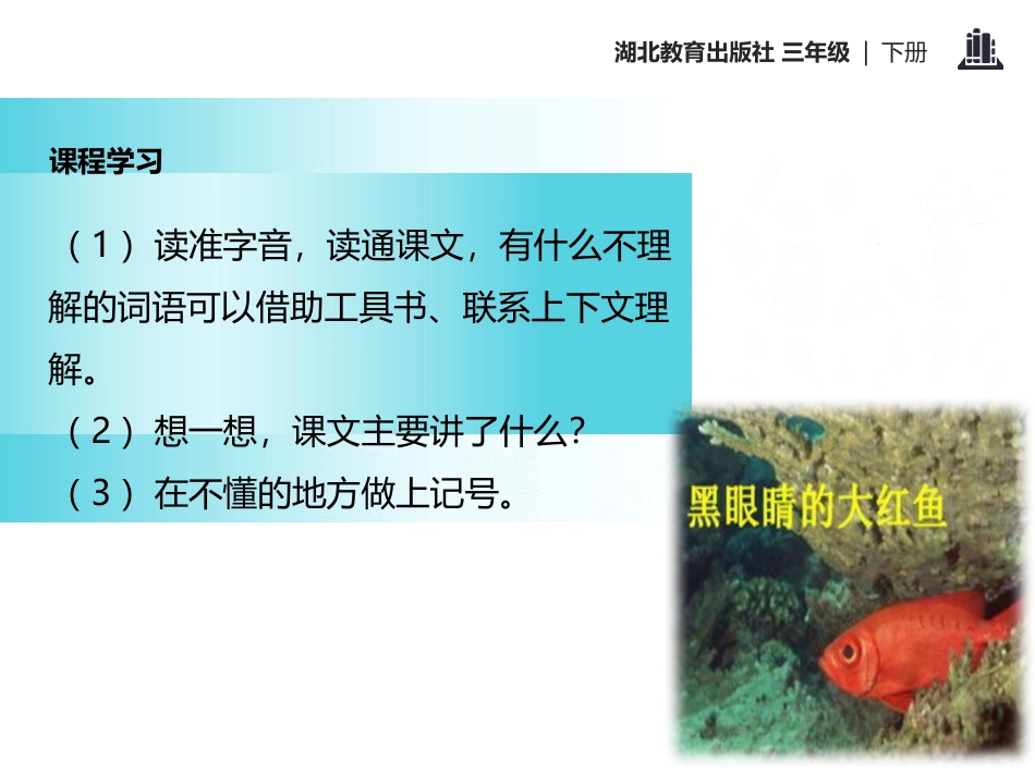 《黑眼睛的大红鱼》PPT课件[鄂教版三年级语文下册]_第3页