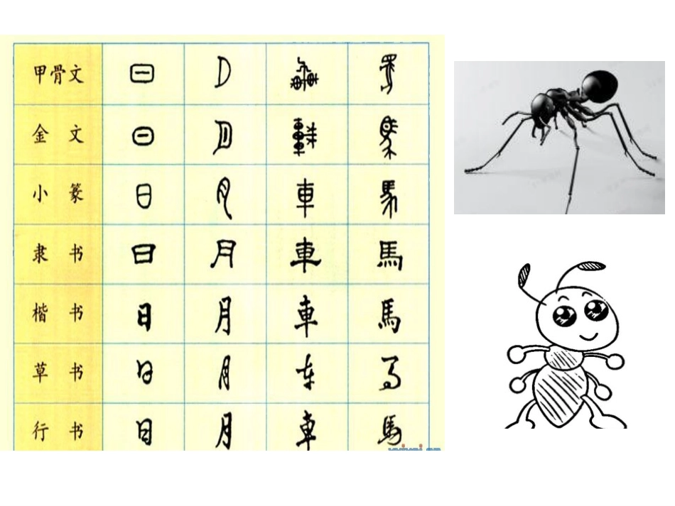 《书本里的蚂蚁》PPT课件[鄂教版四年级语文上册]_第3页