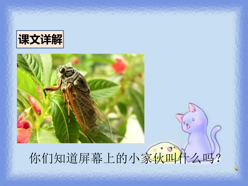 《蝉》PPT课件[鄂教版四年级语文上册]_第2页